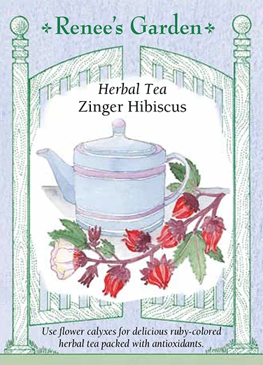 RG Hibiscus Herbal Tea Zinger 